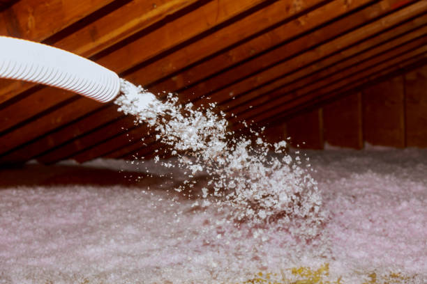 Best Commercial Insulation in High Ridge, MO
