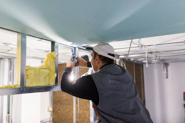 Best Energy Efficiency Solutions in High Ridge, MO