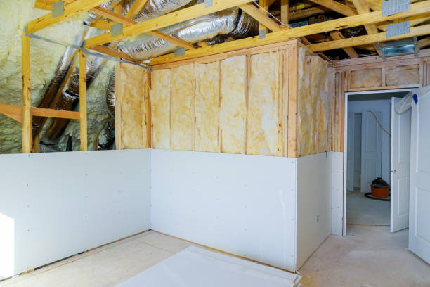 Best Insulation Maintenance and Repair in High Ridge, MO