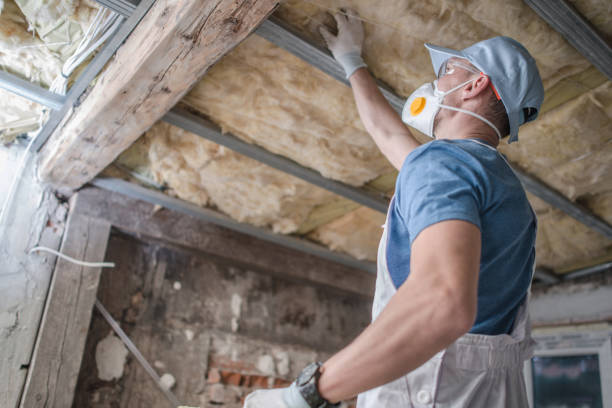 Best Types of Insulation in High Ridge, MO