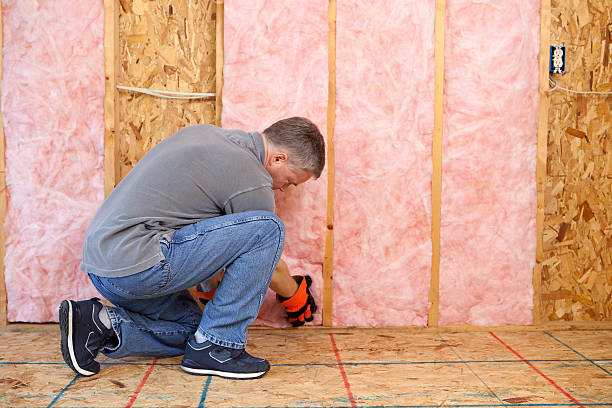 Best Residential Insulation in High Ridge, MO