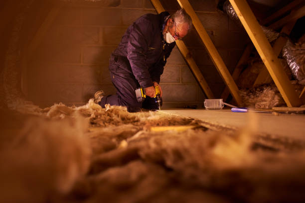Best Insulation Maintenance and Repair in High Ridge, MO